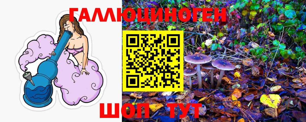 Черкесск  закладка  Вход с VPN  Псилоцибиновые грибы мухоморы 