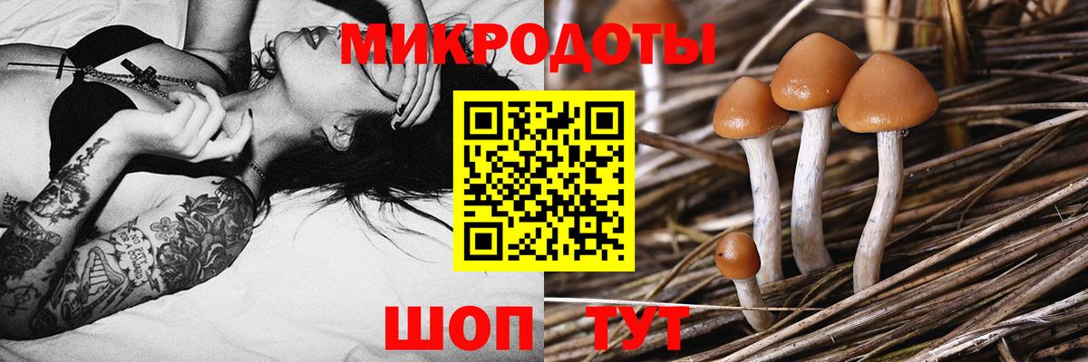 Галлюциногенные грибы прущие грибы Черкесск